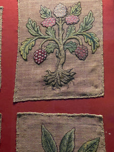 Early 17th Century Needlework Slip Grapevine