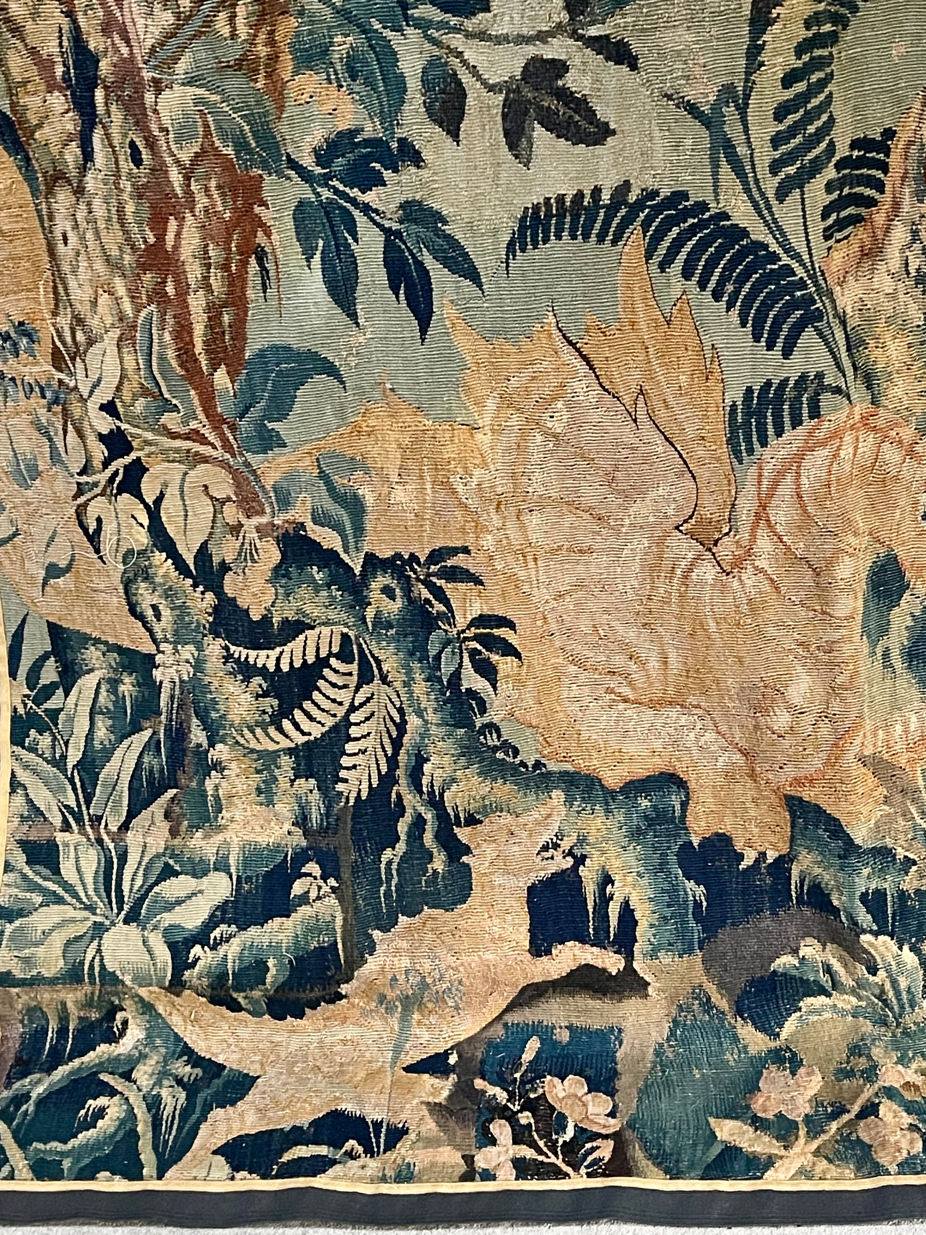 17th Century Flemish Tapestry  DRAGONS