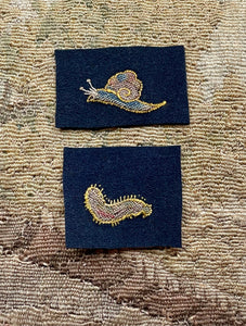 16th Century Embroidery BUGS Snail and Caterpillar