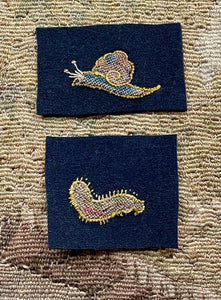 16th Century Embroidery BUGS Snail and Caterpillar